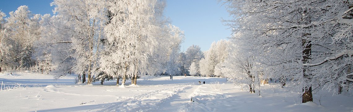 hlavička